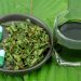 Effectiveness Assessment of VIVAZEN's Kratom Products